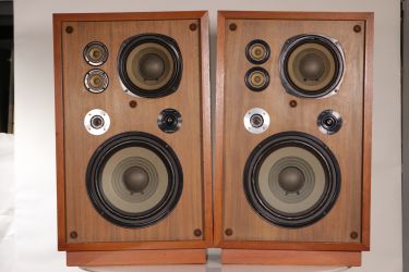 Купить Акустика DIATONE DS-31CmkII