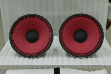 Купить ELECTROVOICE SP12B